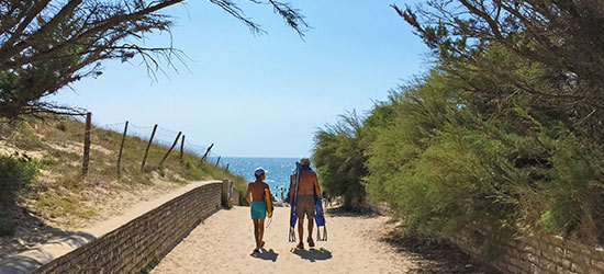 Ile De Re Campingplatz Le Suroit An Der Atlantikkuste Frankreich